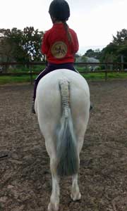 Champion Tails Pony Length False Tails
